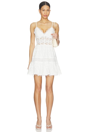 Amarelle Mini Dress Waimari