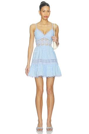 Amarelle Mini Dress Waimari