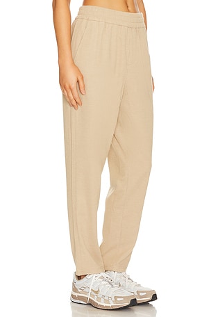 WAO Ribbed Knit Pant in Brown