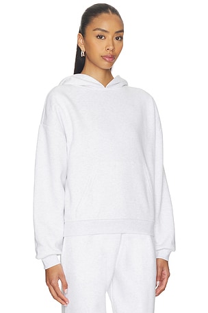 WellBeing + BeingWell Brooks Hoodie in Light Grey