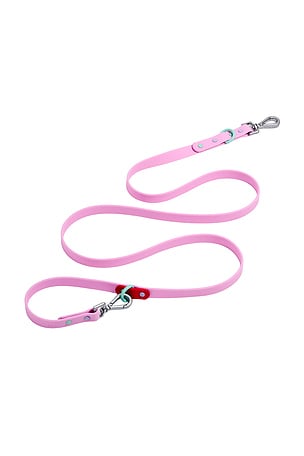 Standard Leash Wild One
