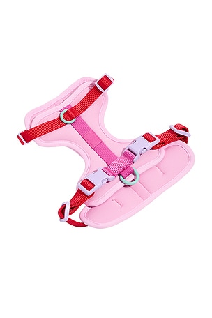 Extra Small Harness Wild One