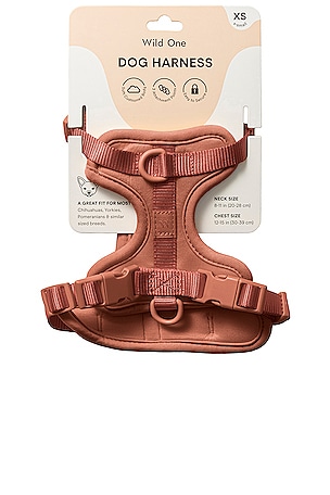 Wild One Harness in Brown