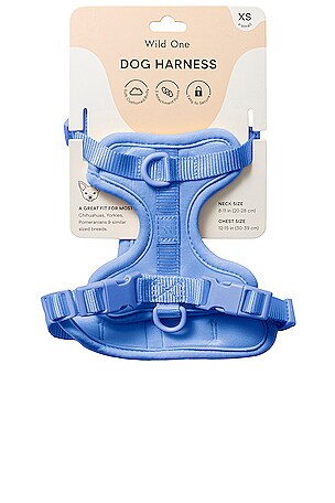 Wild One Harness in Blue