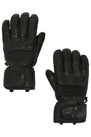 Leather Riding Gloves Whitespace