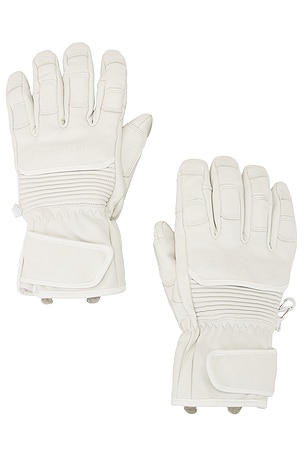 Leather Riding Gloves Whitespace