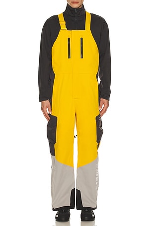 2L Insulated Cargo Bib Pant Whitespace