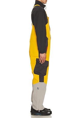 Whitespace 2L Insulated Cargo Bib Pant in Yellow,Black