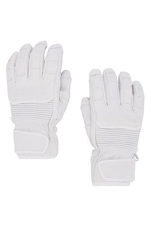 Leather Riding Gloves Whitespace