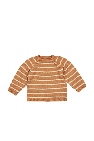 Wild Wawa Stripe Crew Neck Sweater in Orange