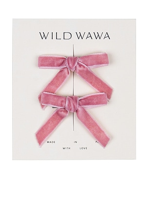 CONJUNTO DE CLIPS Wild Wawa