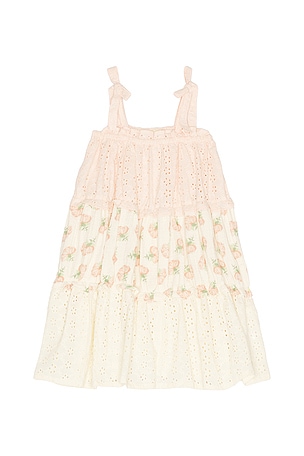 Wild Wawa Amber Dress in Blush