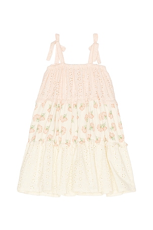 Wild Wawa Amber Dress in Blush