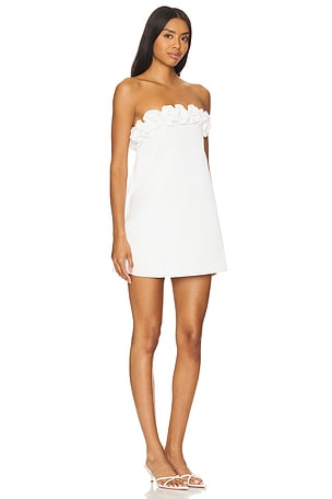WeWoreWhat Rose Mini Dress in White
