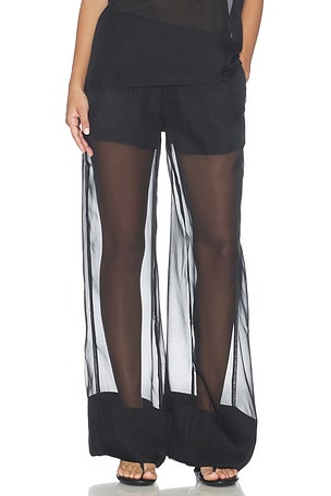 Pull On Sheer Trouser Pant WeWoreWhat