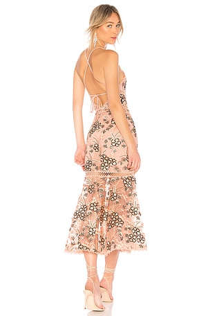 chinese dress ladies Santiago Cut-Out Ruffle Maxi Dress Blush