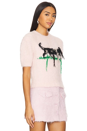 Yuhan Wang Cat Intarsia Top in Blush