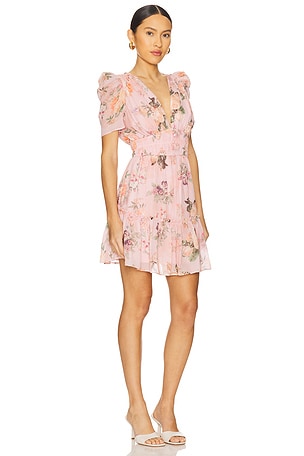Yumi Kim Ritzy Dress in Pink