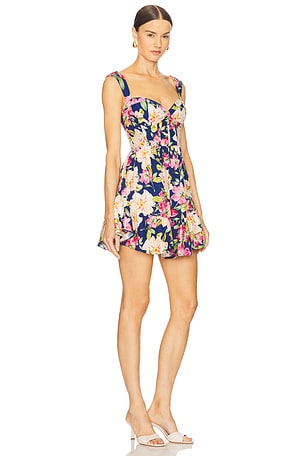 Yumi Kim Sylvia Dress in Navy,Pink