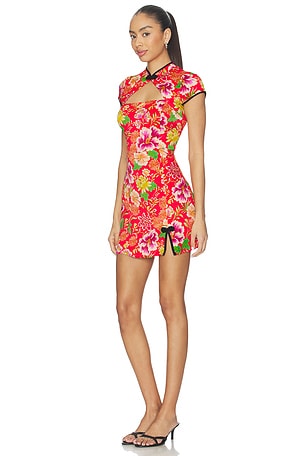 Yumi Kim Shanghai Dress in Red