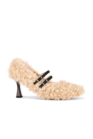 Teddy Heel Zemeta
