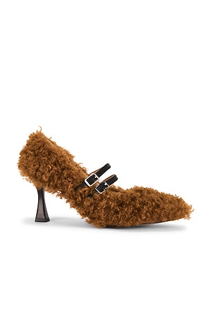 Teddy Heel Zemeta