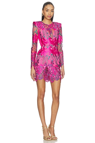 Zhivago Violets And Music Mini Dress in Fuchsia