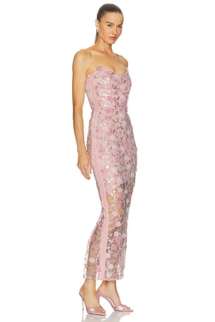 Zhivago Roses And Their Ashes Dress in Blush