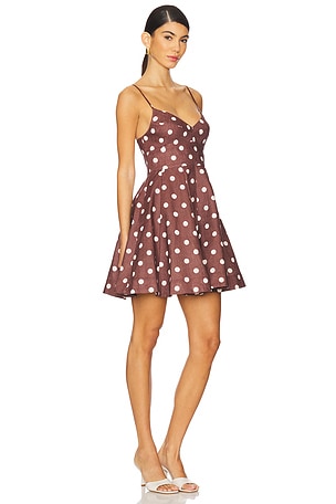 Zimmermann Acacia Fit & Flare Mini Dress in Brown