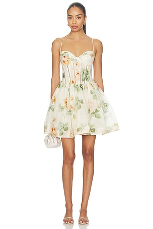 Carousel Corset Mini Dress Zimmermann