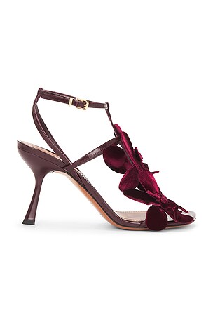 Zimmermann Orchid Sandal in Wine