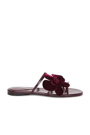 Zimmermann NU-PIED ORCHID en Wene