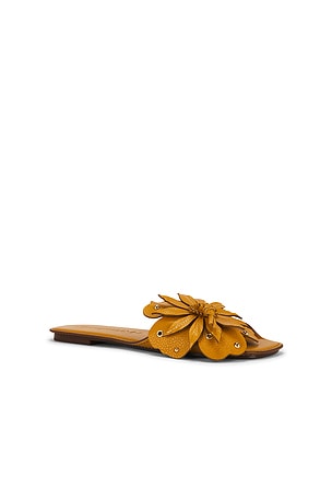 Zimmermann Brightside Slide in Tan