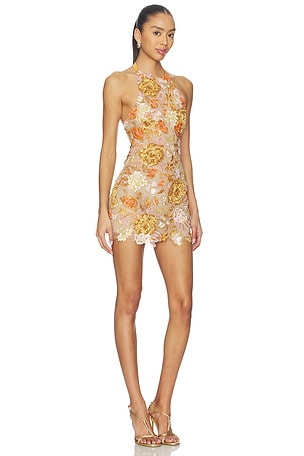 Zuleyha Kuru Manon Dress in Tan,Orange. Size 36. Also