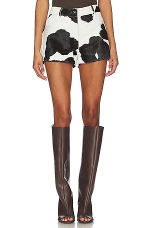 Ellis Shorts ZUT