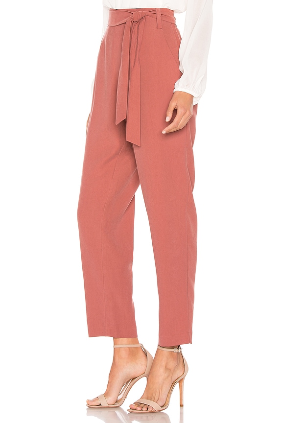 view 2 of 4 Tie Waist Slim Pant in Terra Earth