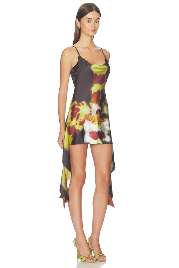 view 2 of 3 Orchid Mini Dress in Multi