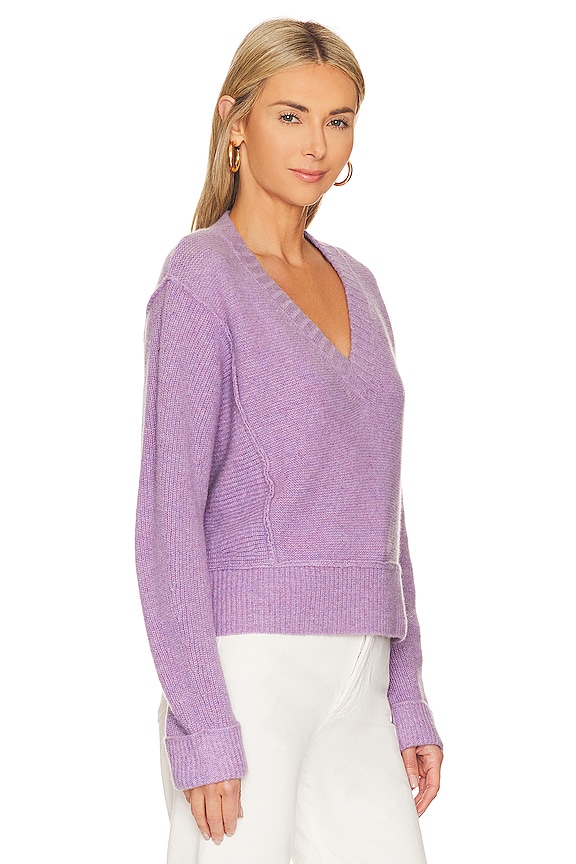 view 2 of 4 PULL ASTER in Taro