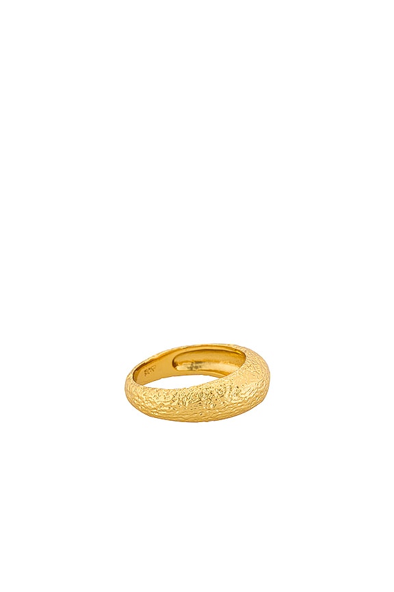 view 2 of 4 ANILLO PISA in Gold