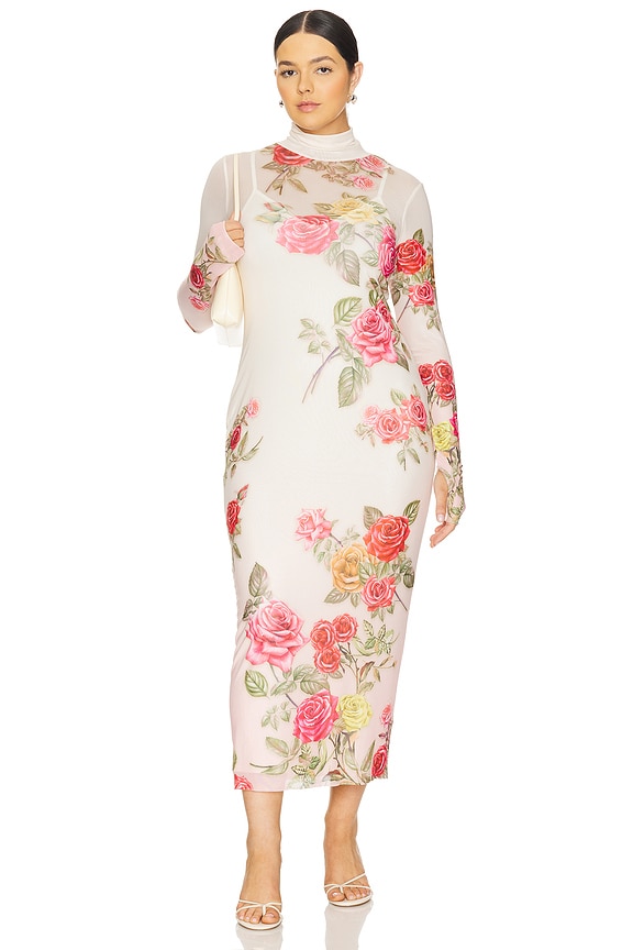 view 2 of 8 Shailene Mesh Dress in Falling Roses