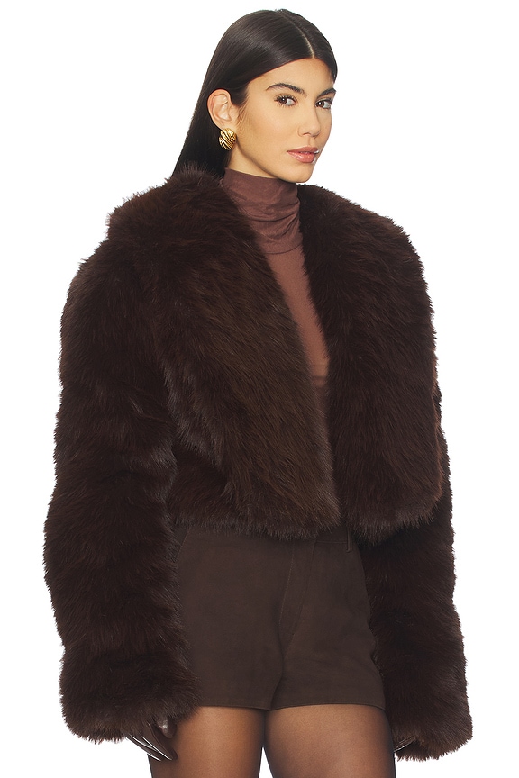 view 2 of 4 Stephanie Faux Fur Coat in Java