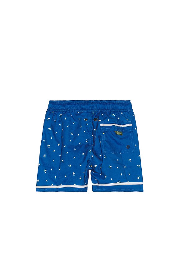 view 2 of 4 Nick Dreamin Shorts in Multicolor