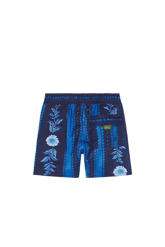 view 2 of 4 Nick Jardim Shorts in Multicolor