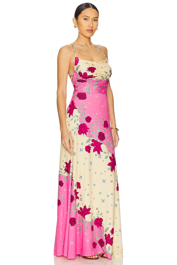view 2 of 3 x REVOLVE Arista Maxi Dress in Bohemian Pink Floral