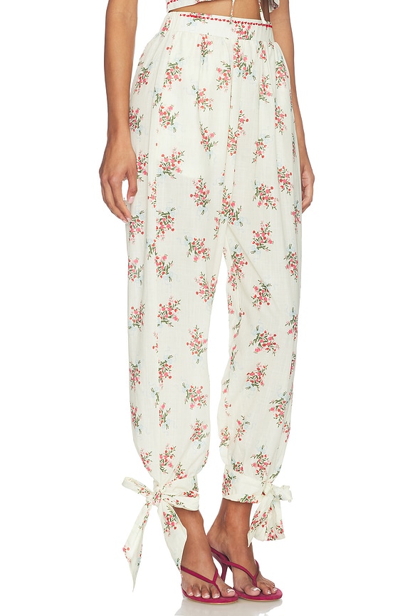 view 2 of 6 Silvia Cherish Pant in Multicolor