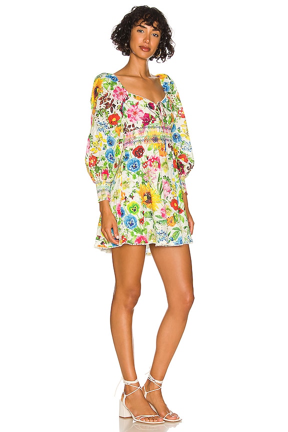 view 2 of 3 Crawford Mini Dress in Sunday Stroll Multi