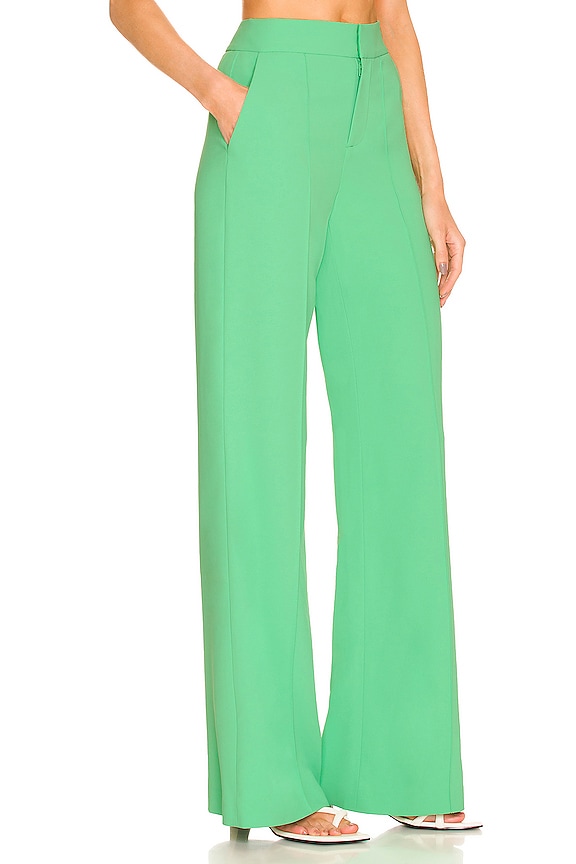 view 2 of 4 Dylan Wide Leg Pant in Garden Green
