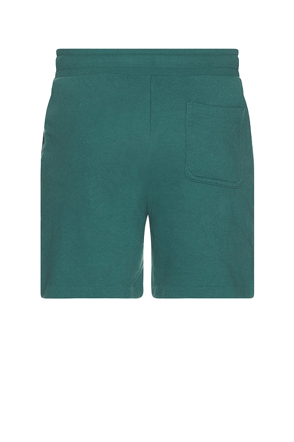 view 2 of 4 Chill Shorts in Winter Ivy