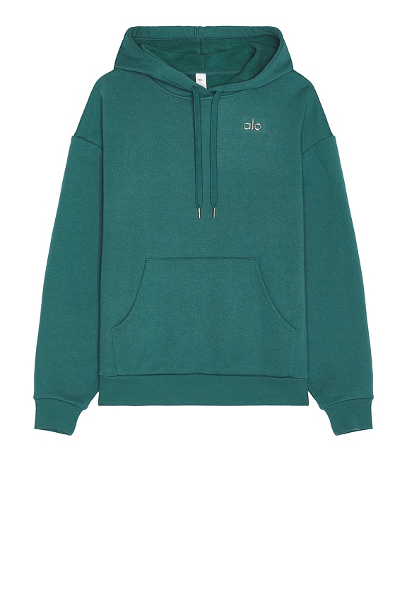 view 1 of 5 Accolade Hoodie in Winter Ivy