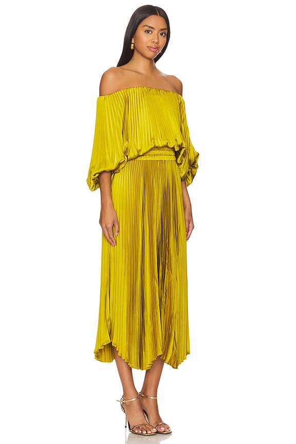 view 2 of 3 Sienna Dress in Cactus Bloom